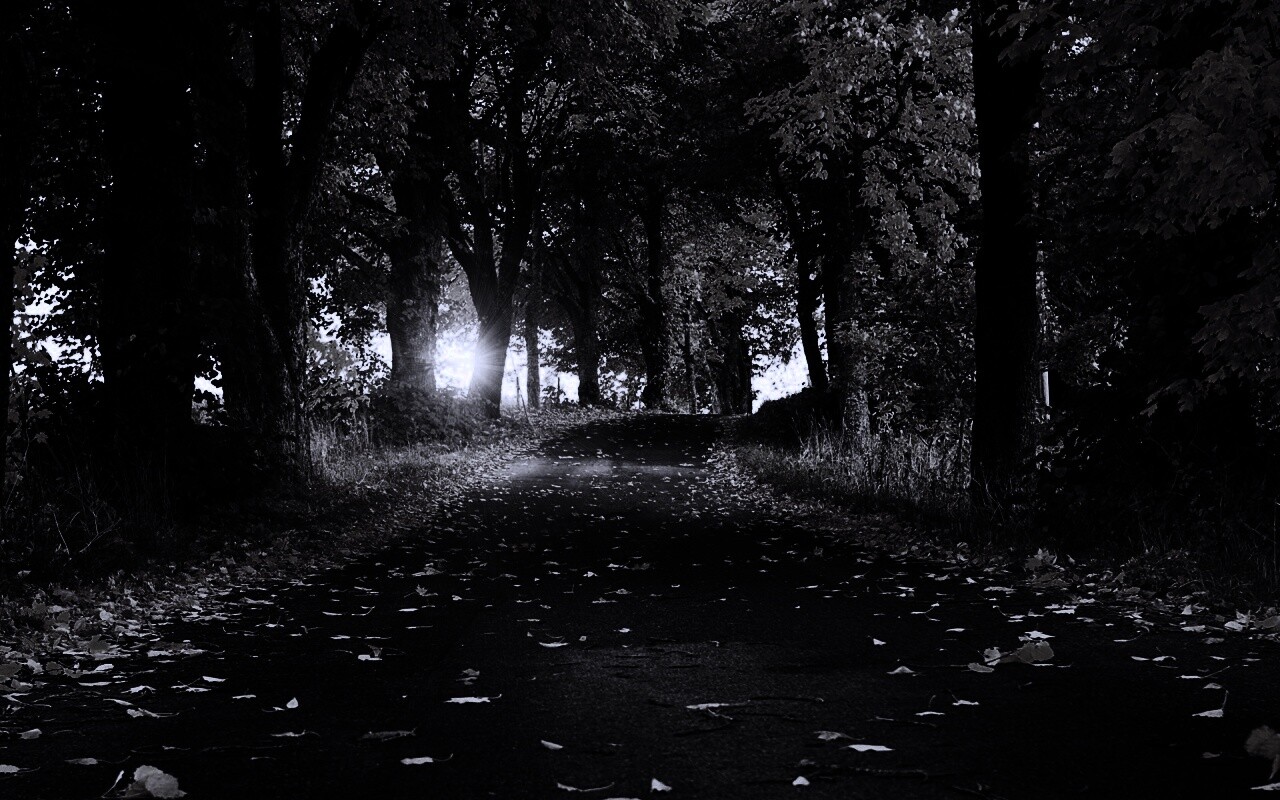 Дорога в осеннем парке обои