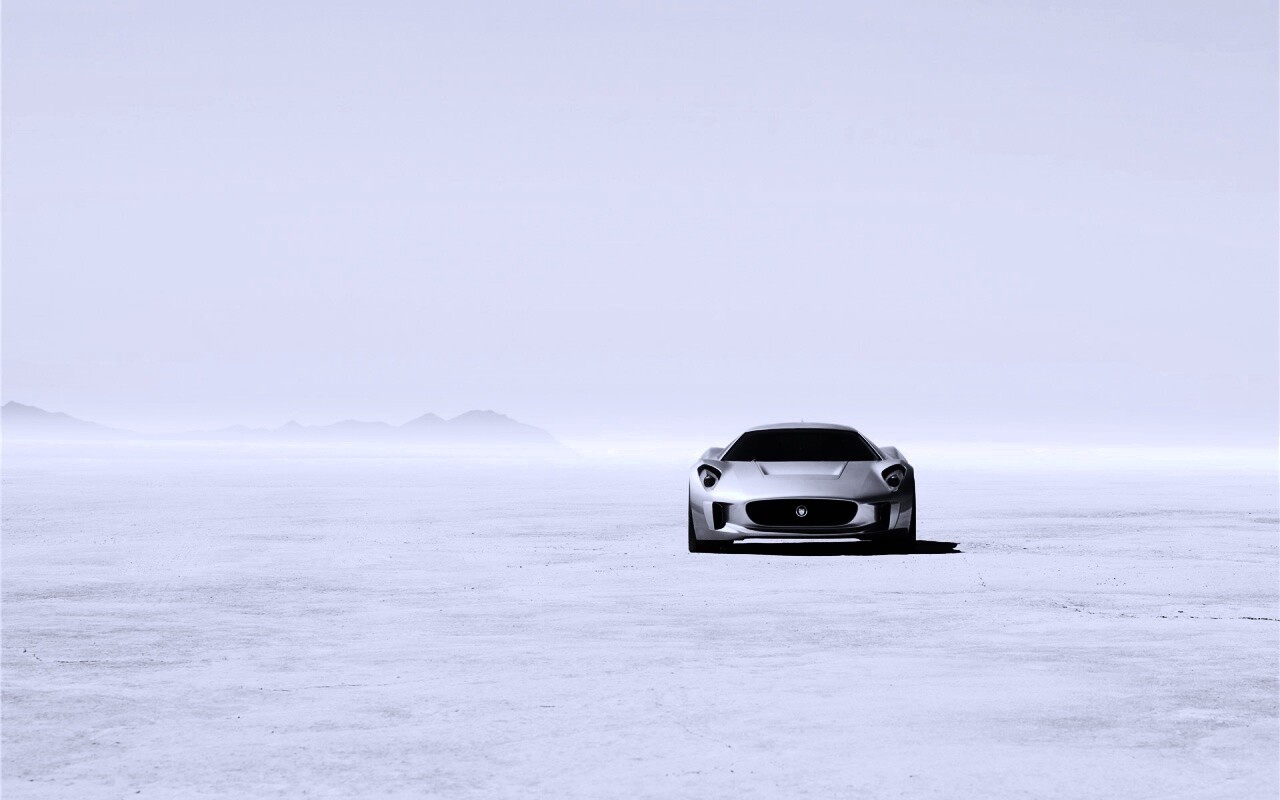 Ягуар подкрадывается обои