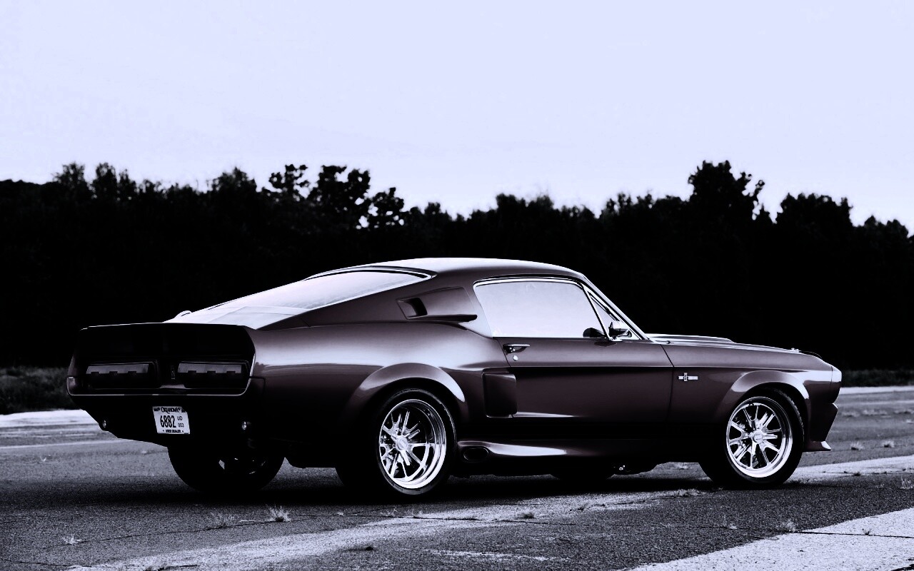 Shelby GT500 CR обои