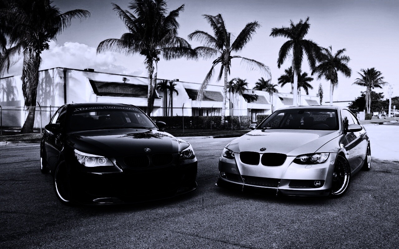 Две БМВ обои