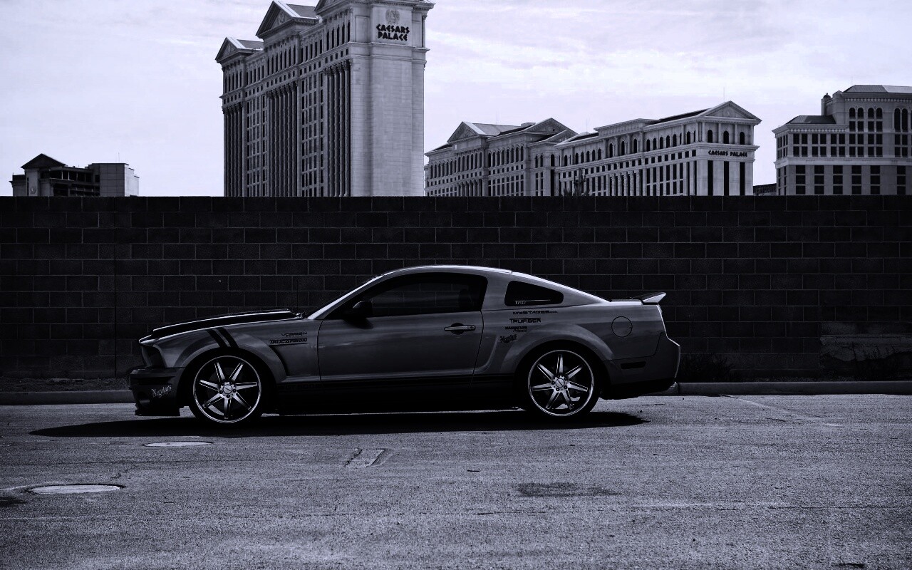 Ford Mustang обои