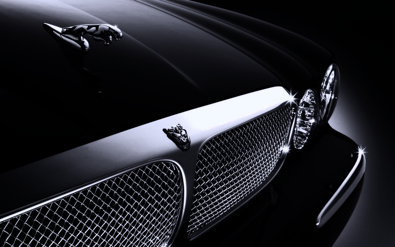 Капот и эмблема Ягуара обои