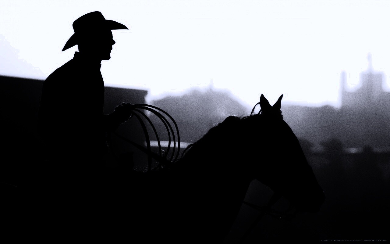 Ковбой с лассо на коне обои