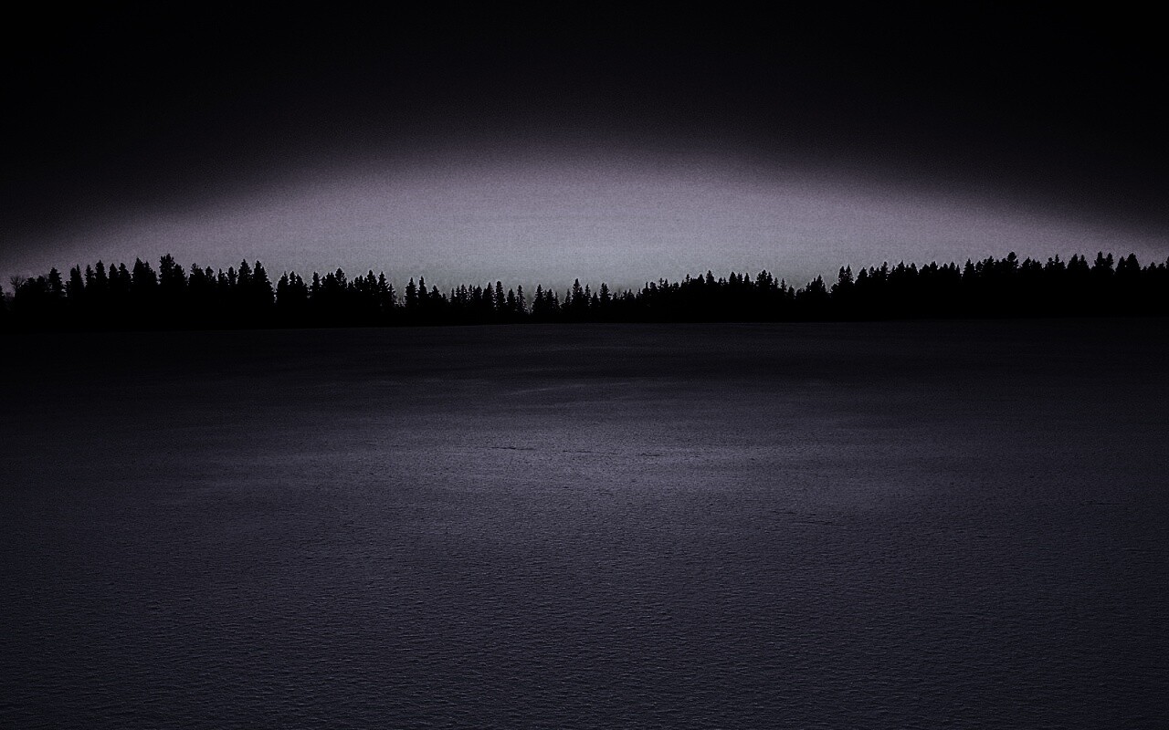 Восход над заснеженным лесом обои