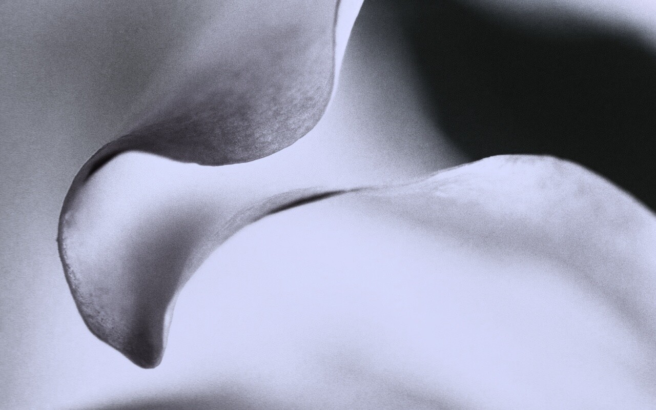 Оттенки природы обои