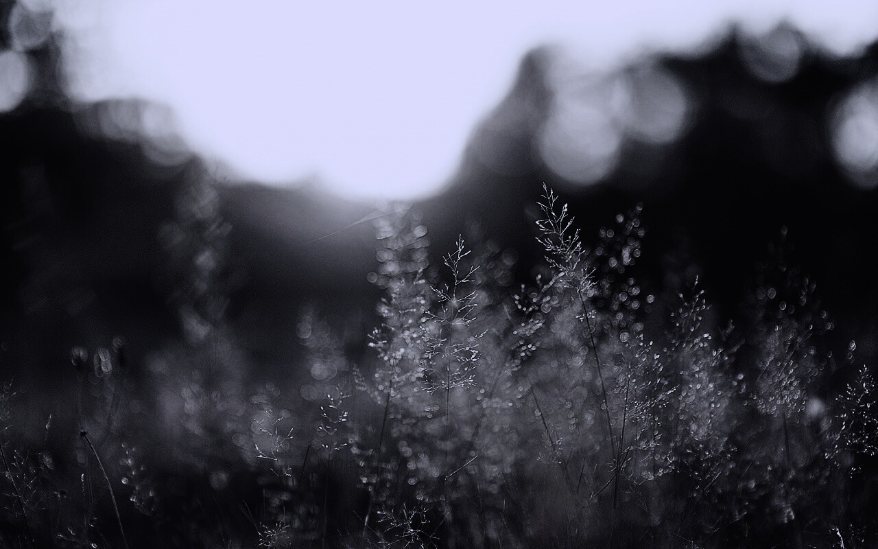 Посмотри на этот мир обои