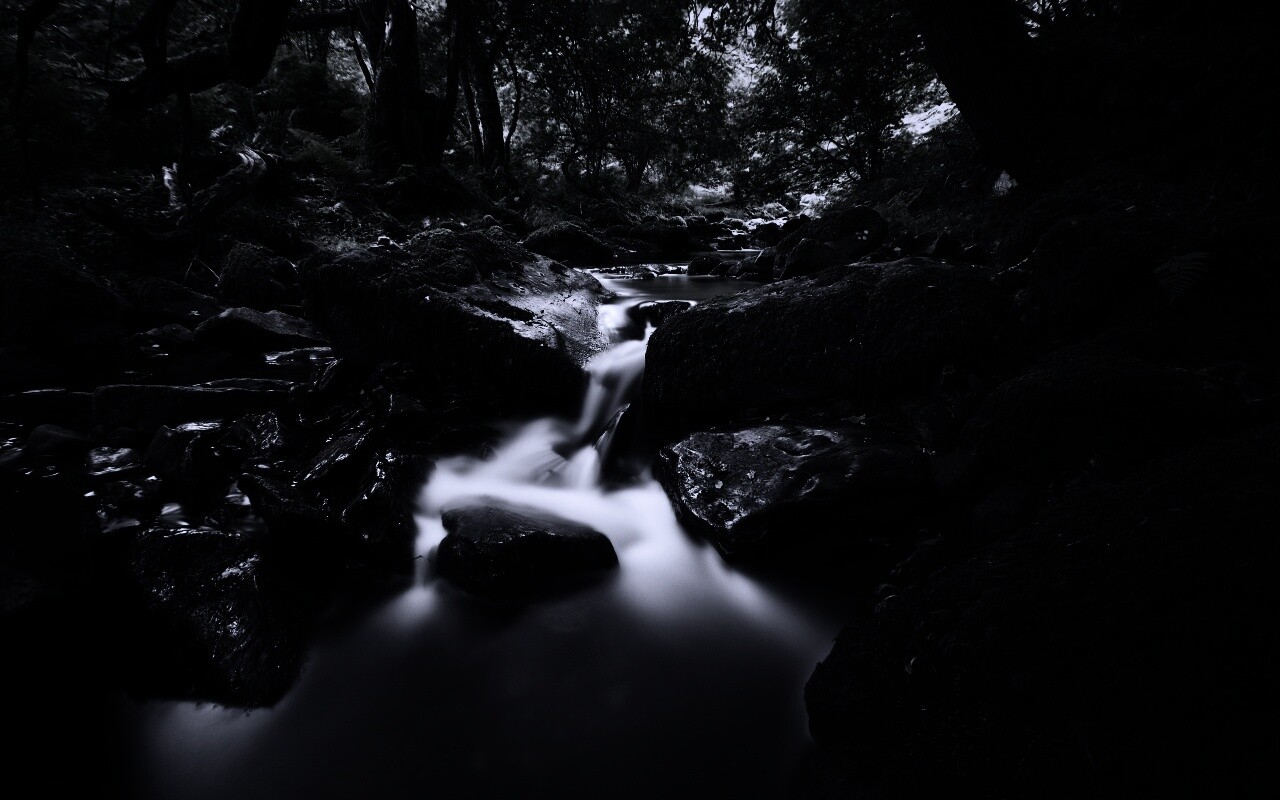 Речной поток в лесу обои