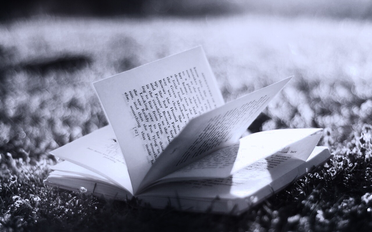 Книга в нежном свете обои