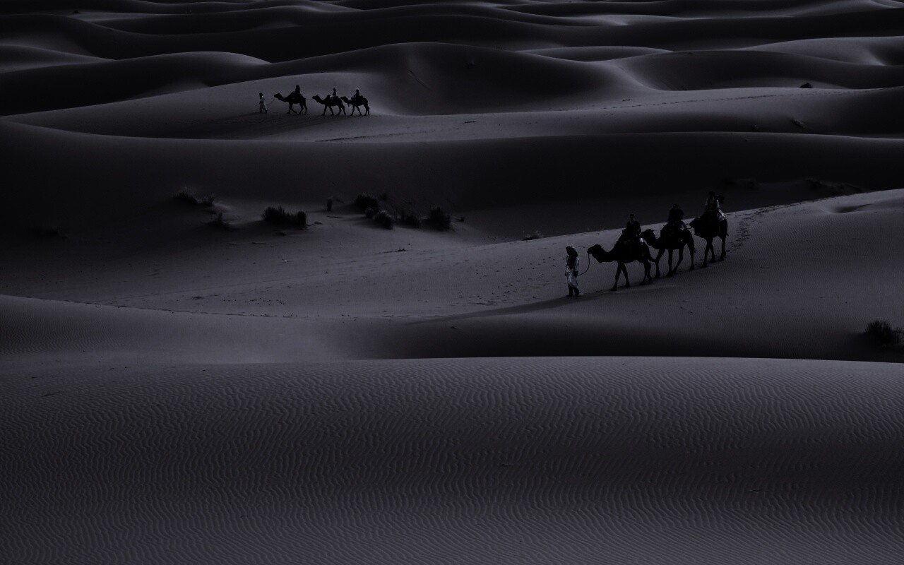 Караваны пустыни обои