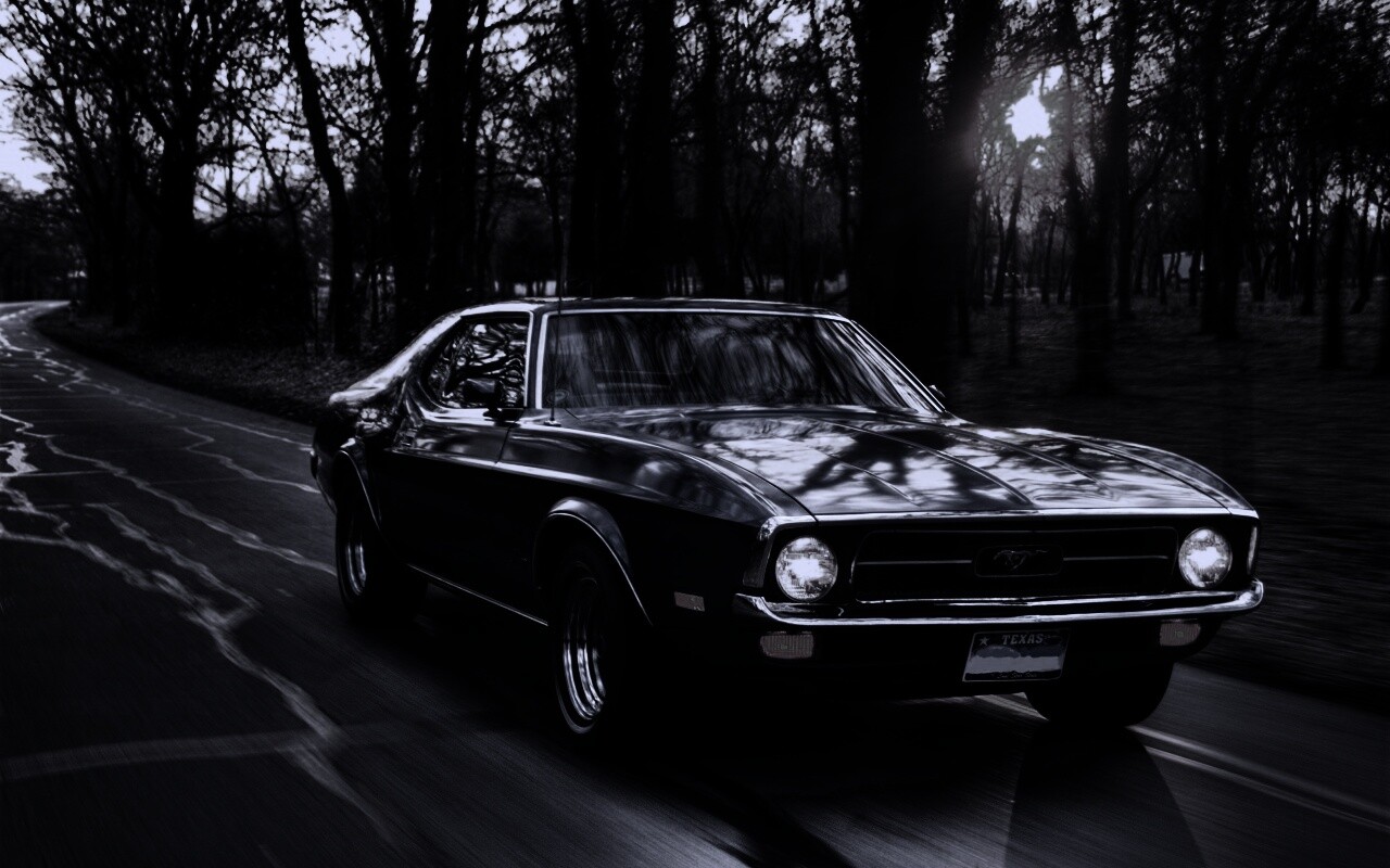 Мустанг обои