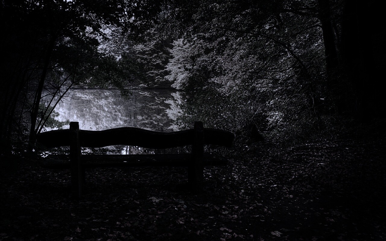 Скамейка в лесу обои