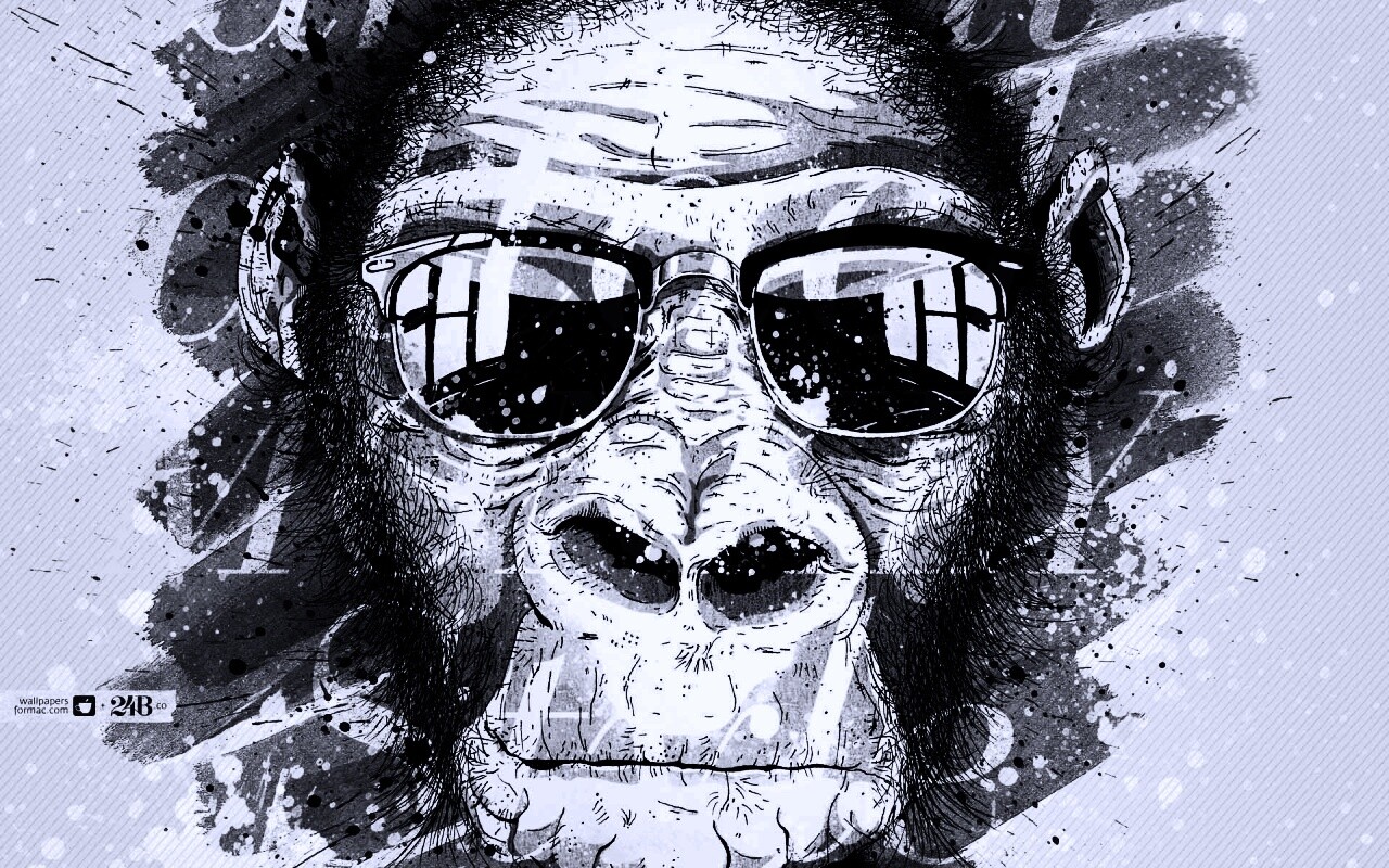 Макака в очках обои