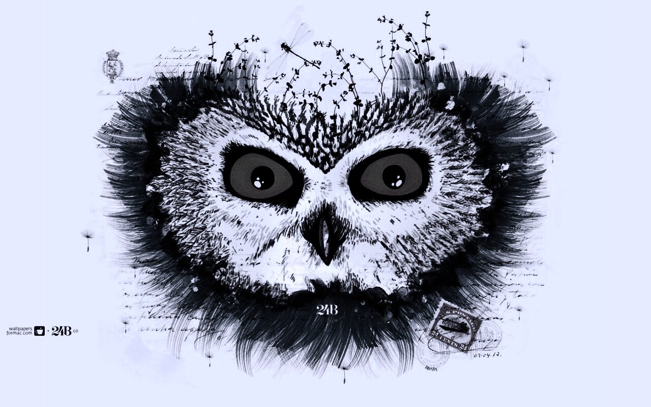 Обои сова для mac book обои