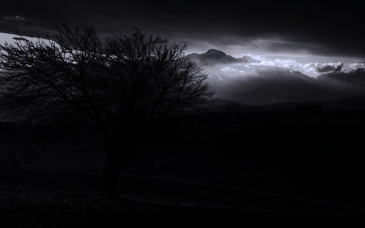 Дерево и горы обои