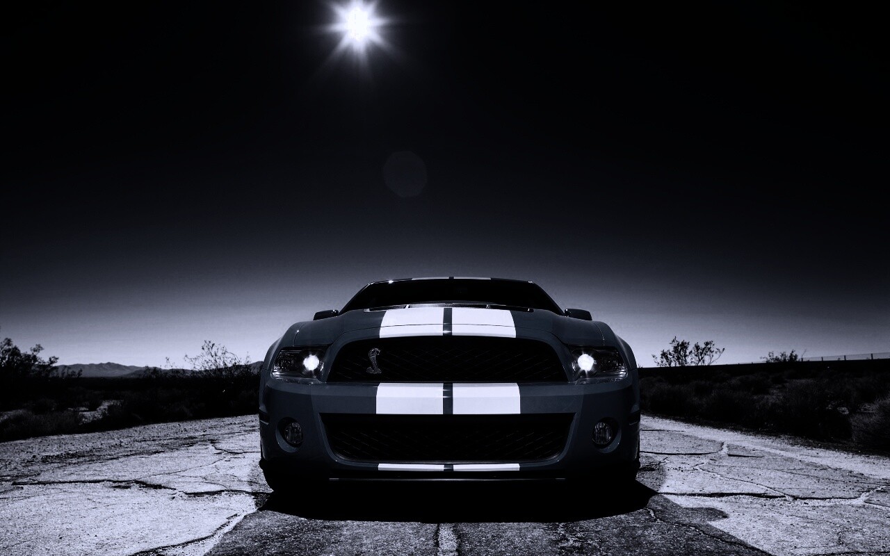 Форд Шелби обои