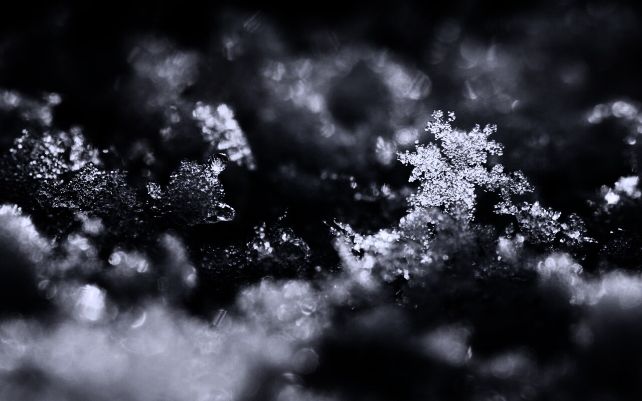 Макро фото снега обои