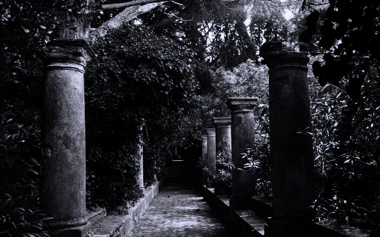 Галерея зимнего сада обои