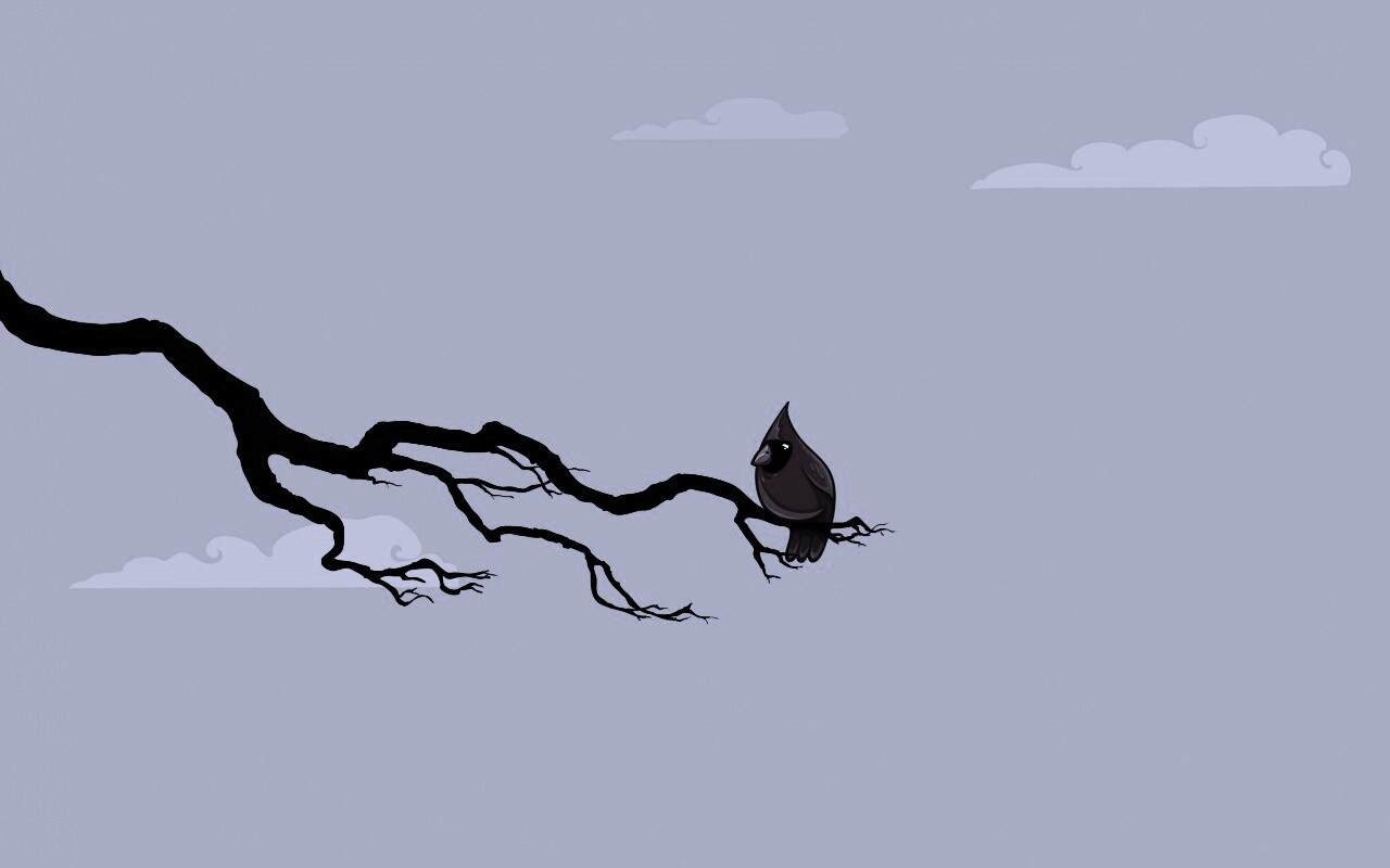 Красная птица на ветке обои