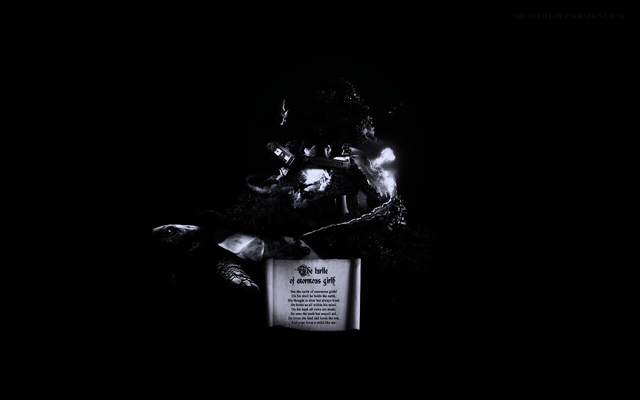Огромная в обхвате черепаха обои