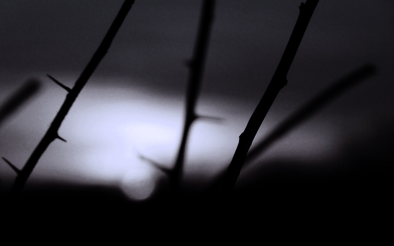 Закат солнца в поле обои