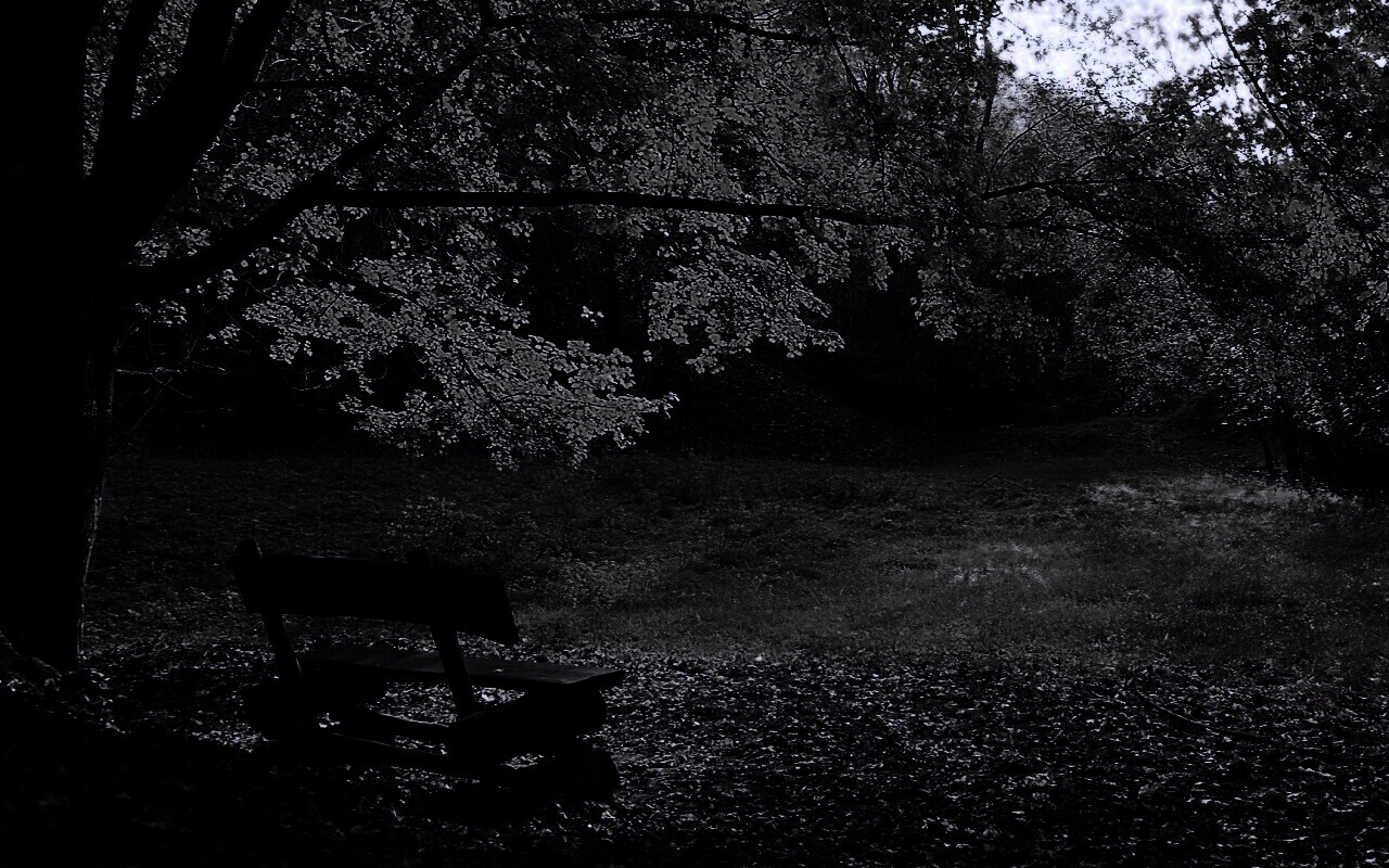 Скамейка под деревом обои