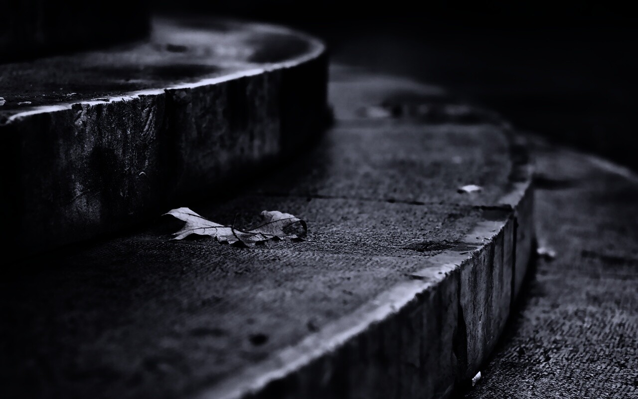 Лист на ступеньках обои