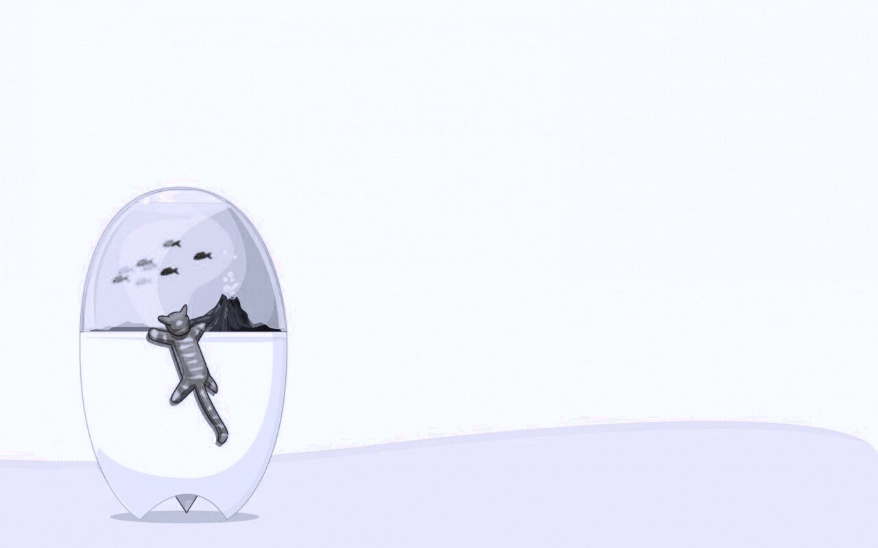 Кот прыгает на аквариум обои