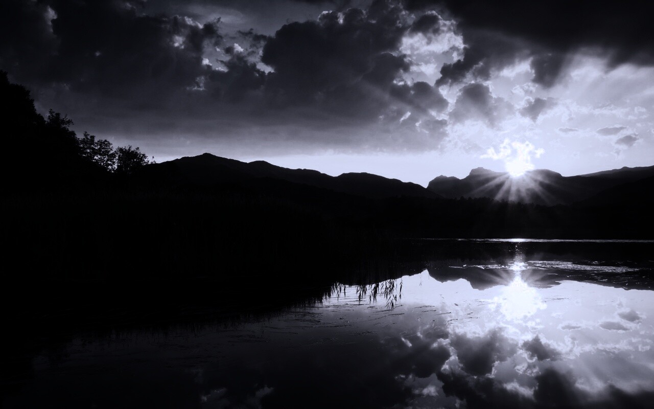 Закат за лесом обои