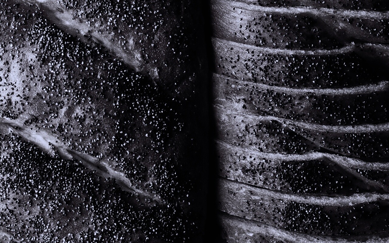 Выпечка с маковой крошкой обои