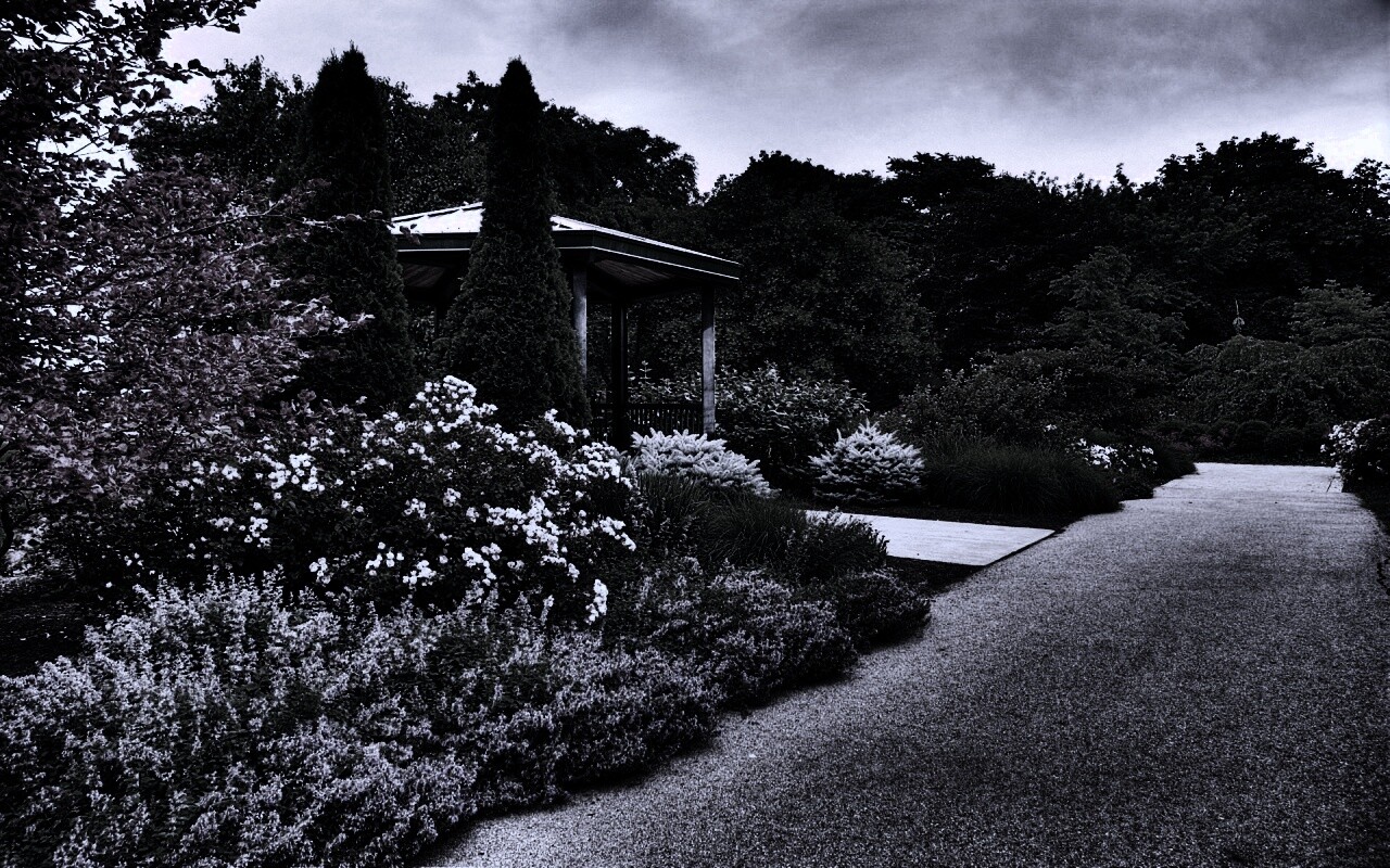 Ландшафтный дизайн обои