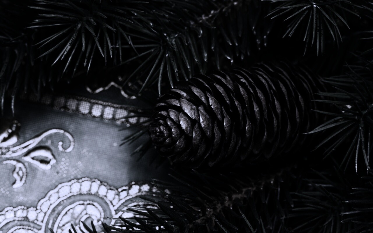 Шишка на елке обои