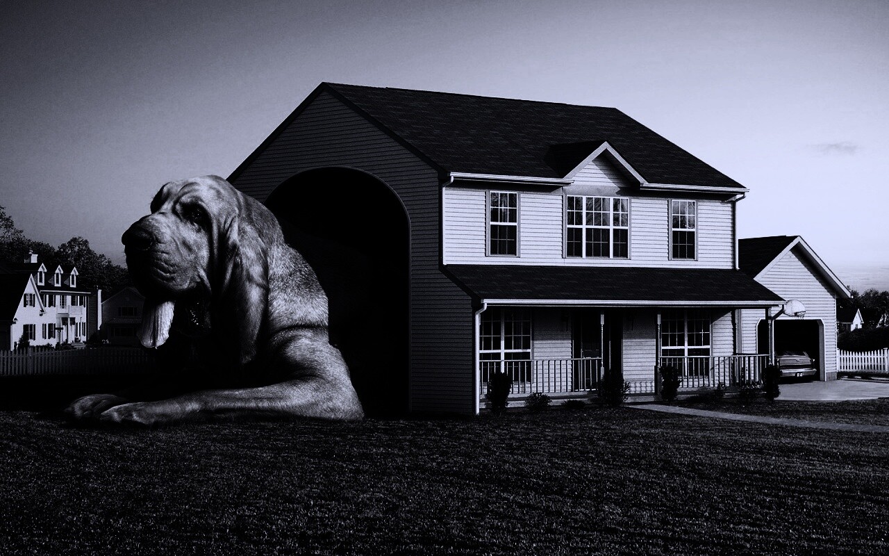 Действительно большая собака обои