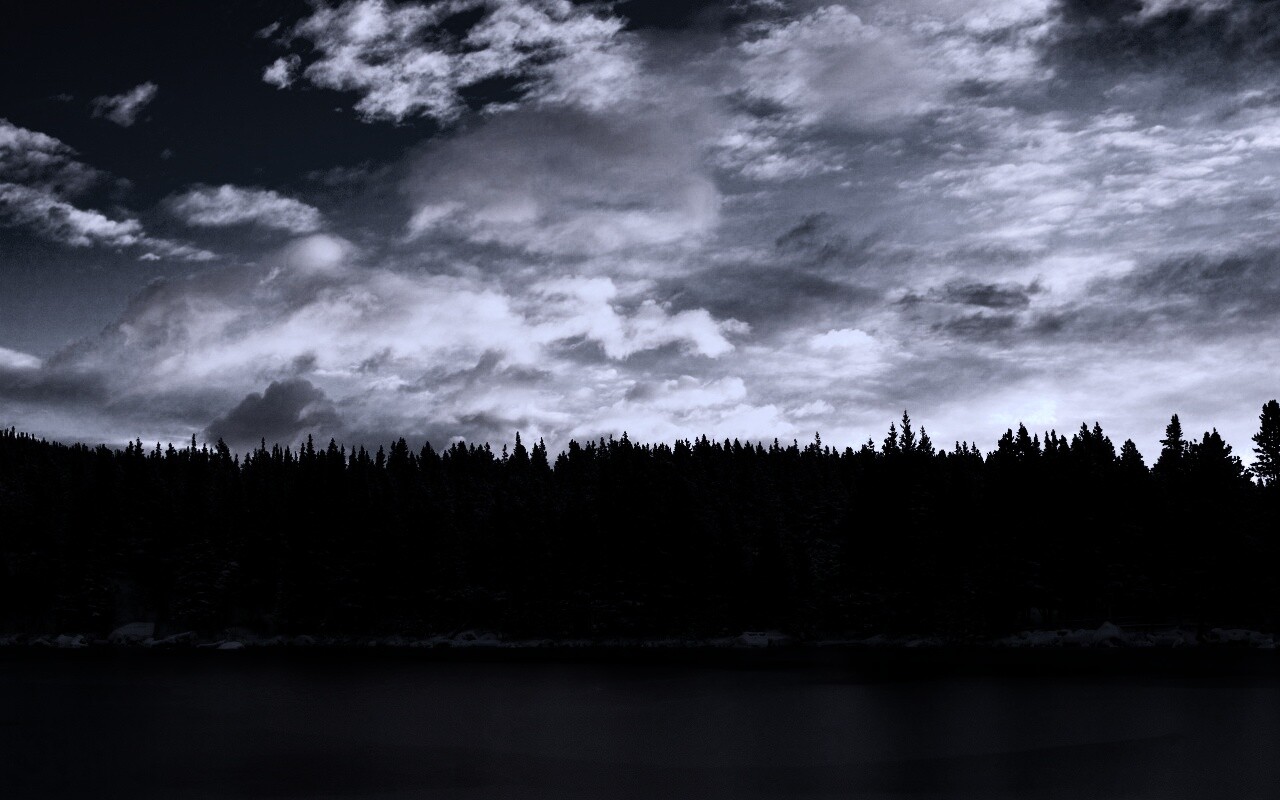 Лес на озере обои