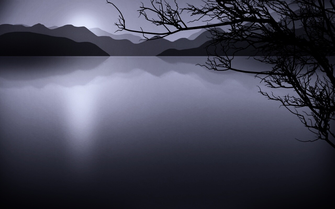 Ветка над вечерним озером обои