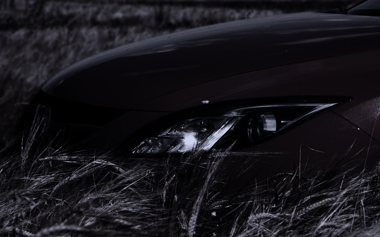 Мазда в пшенице обои