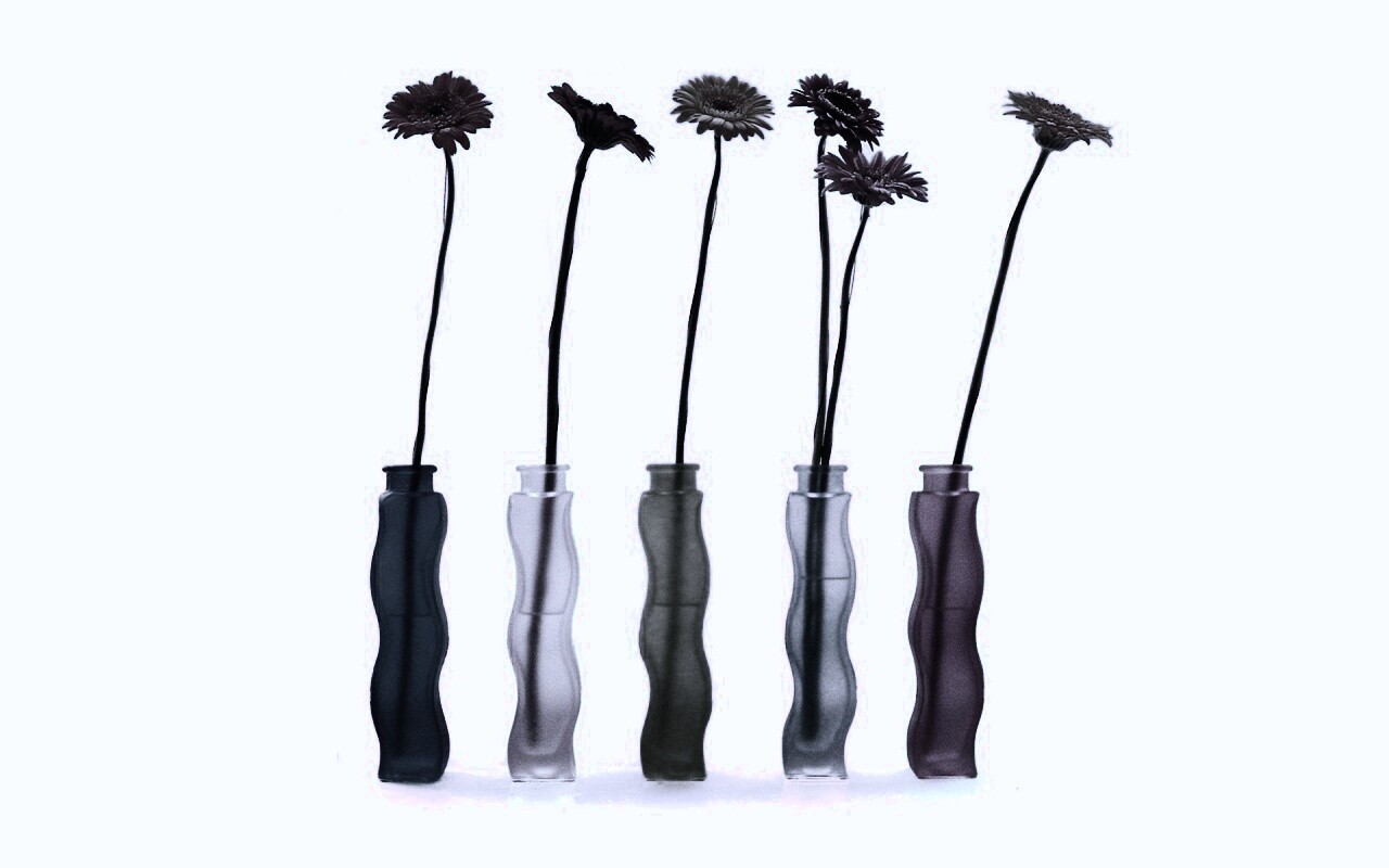 Герберы в изогнутых вазах обои