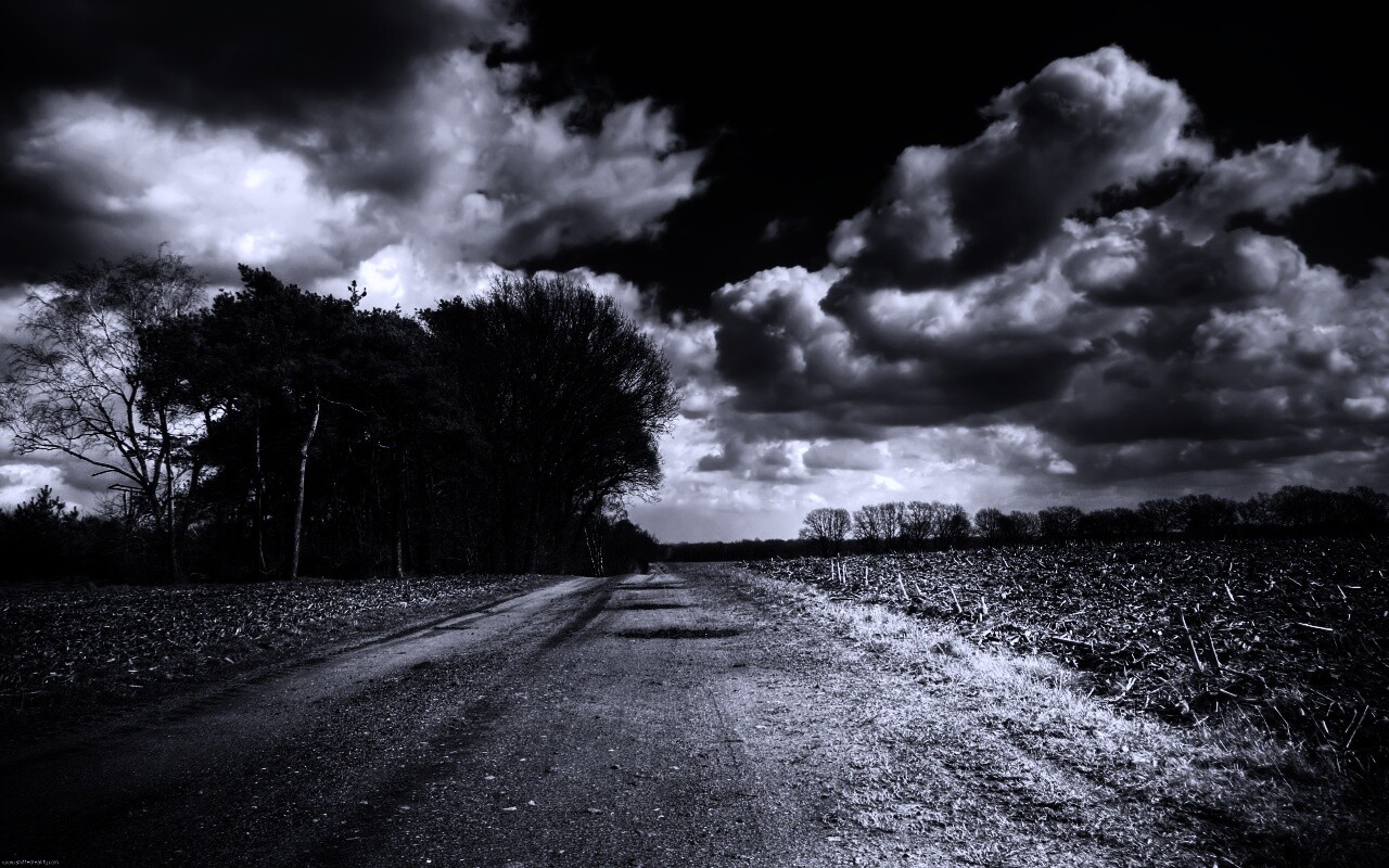 Дорога через поле обои