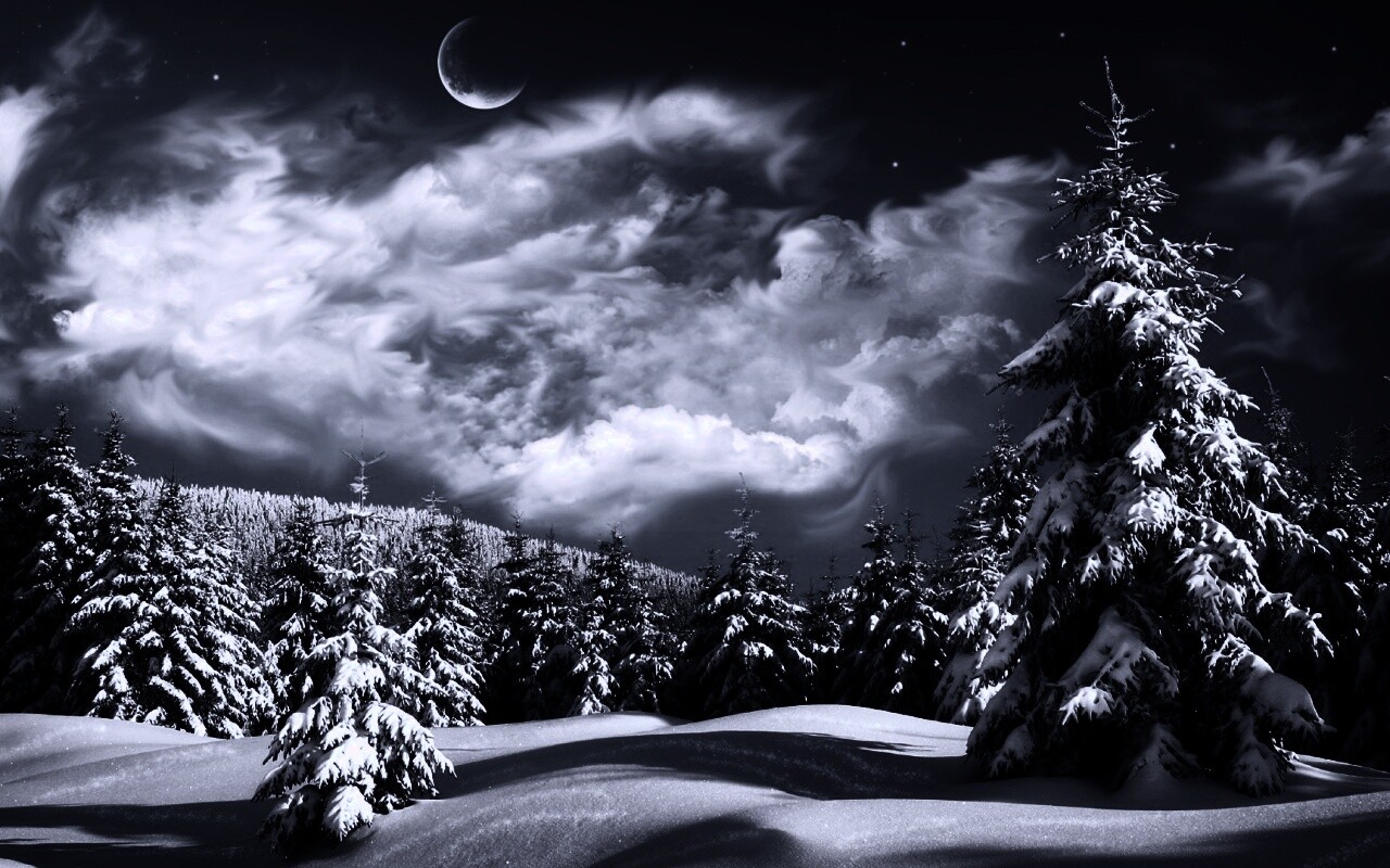 Зимний еловый лес обои