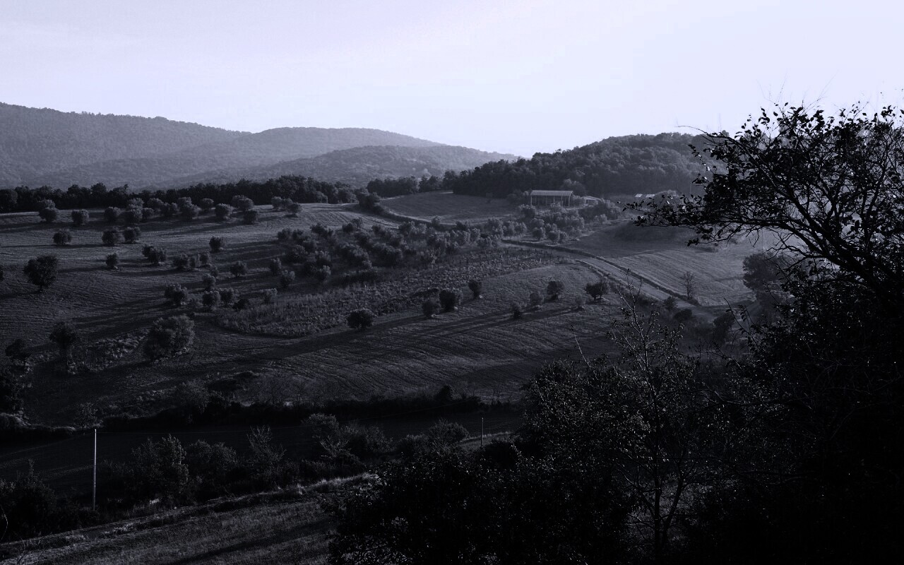 Ферма в долине обои