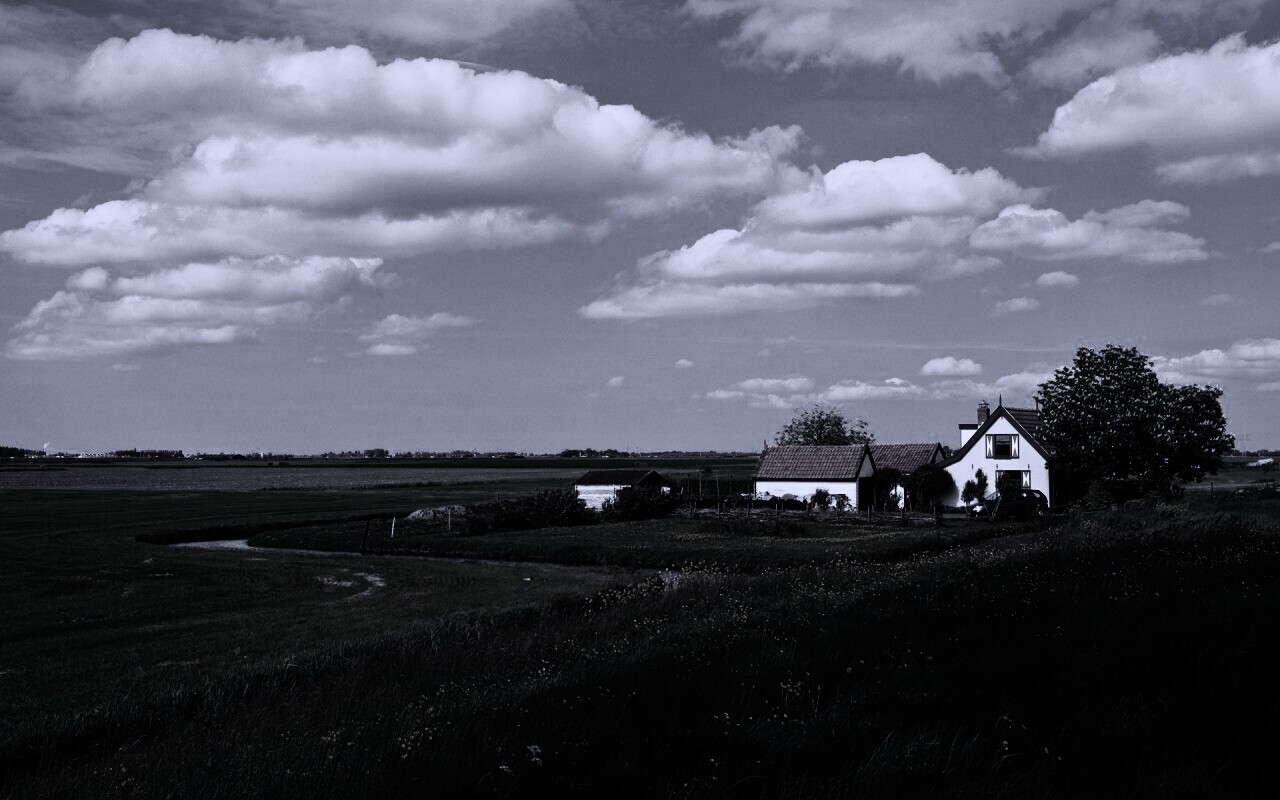 дом на лугу обои