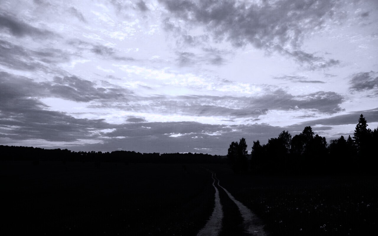 Дорога к лесу обои