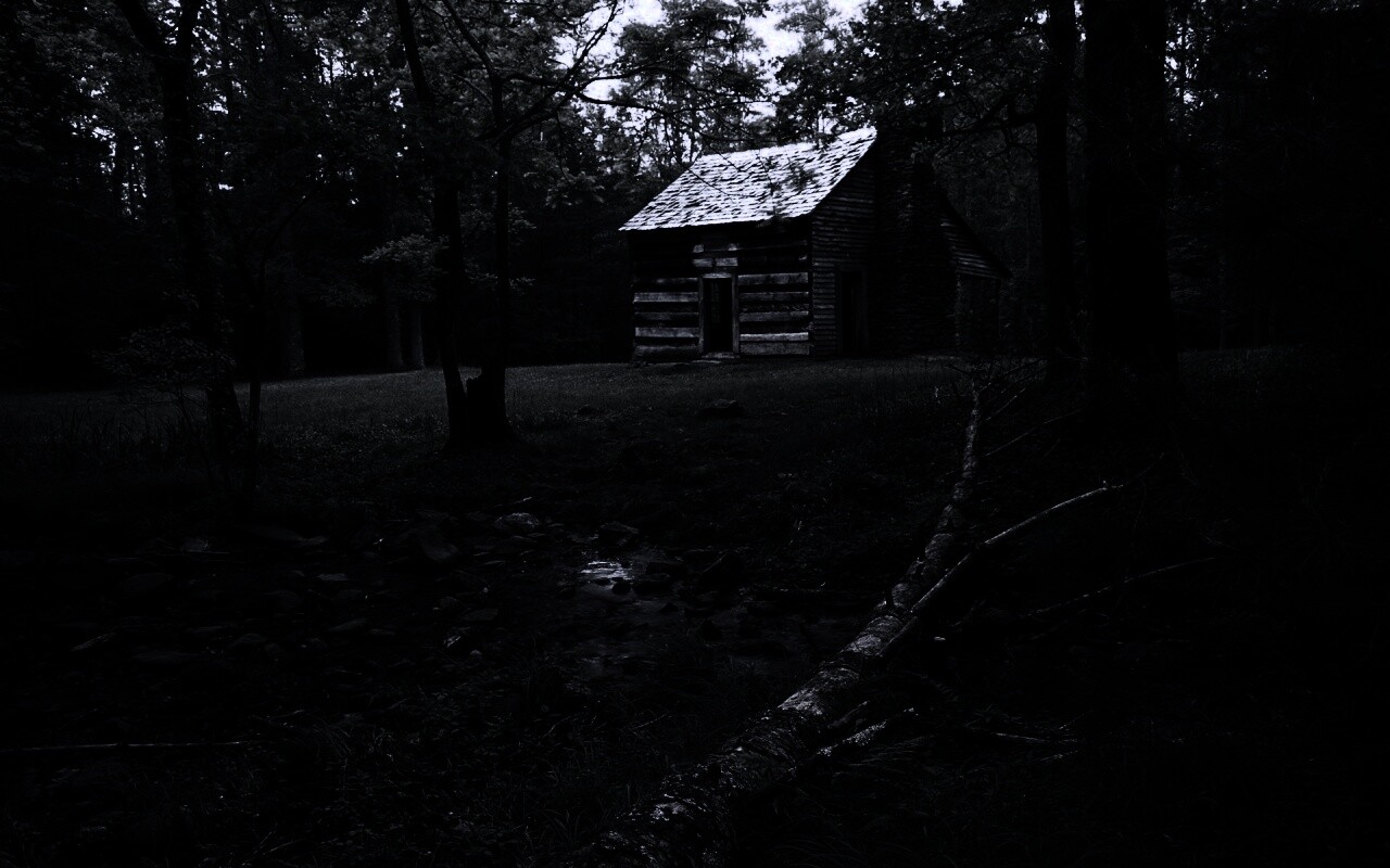 Домик в лесу обои