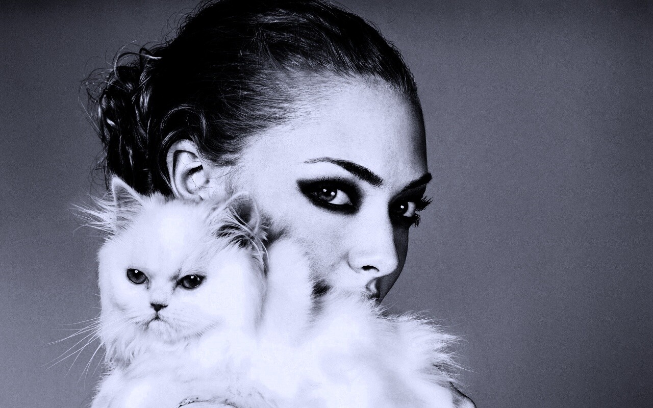 Девушка с кошкой обои