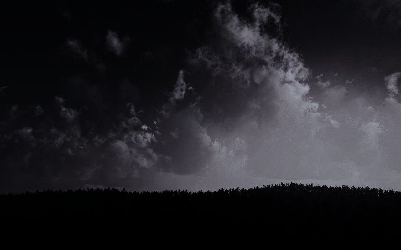 Закат над лесом обои