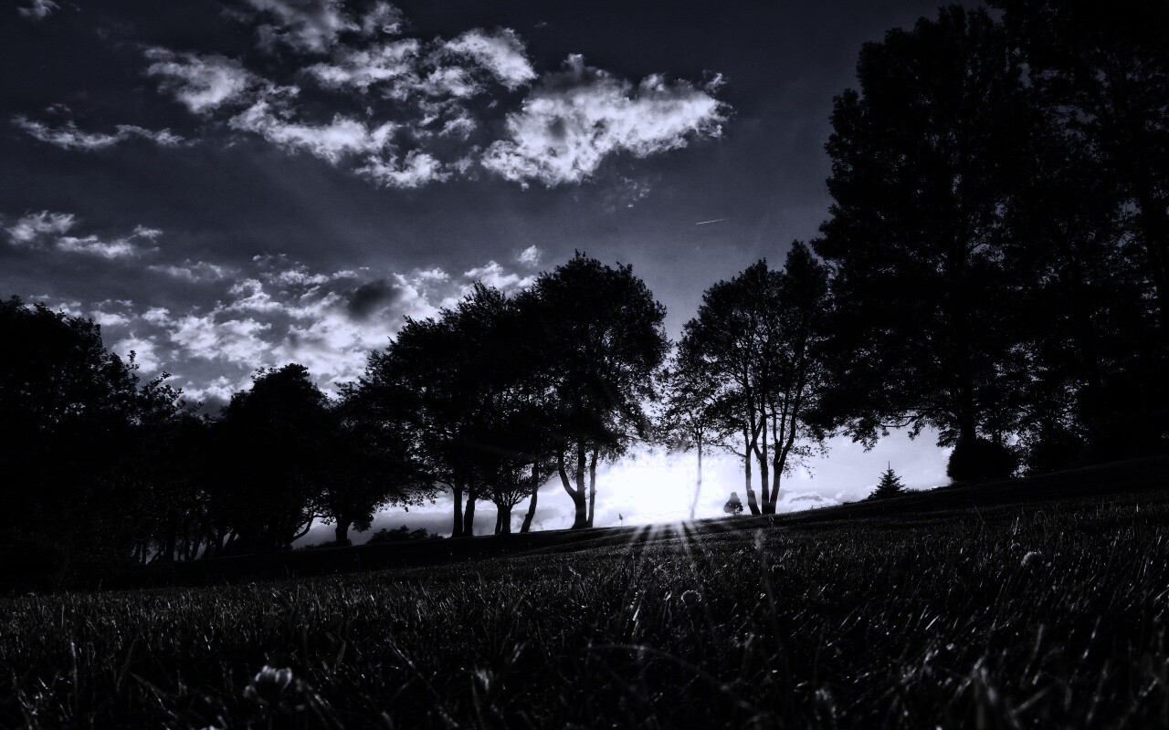 Лучи солнца на траве обои