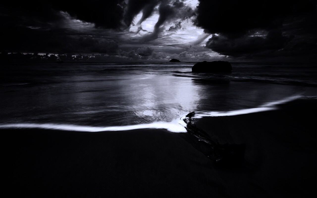 Коряга на пляже обои