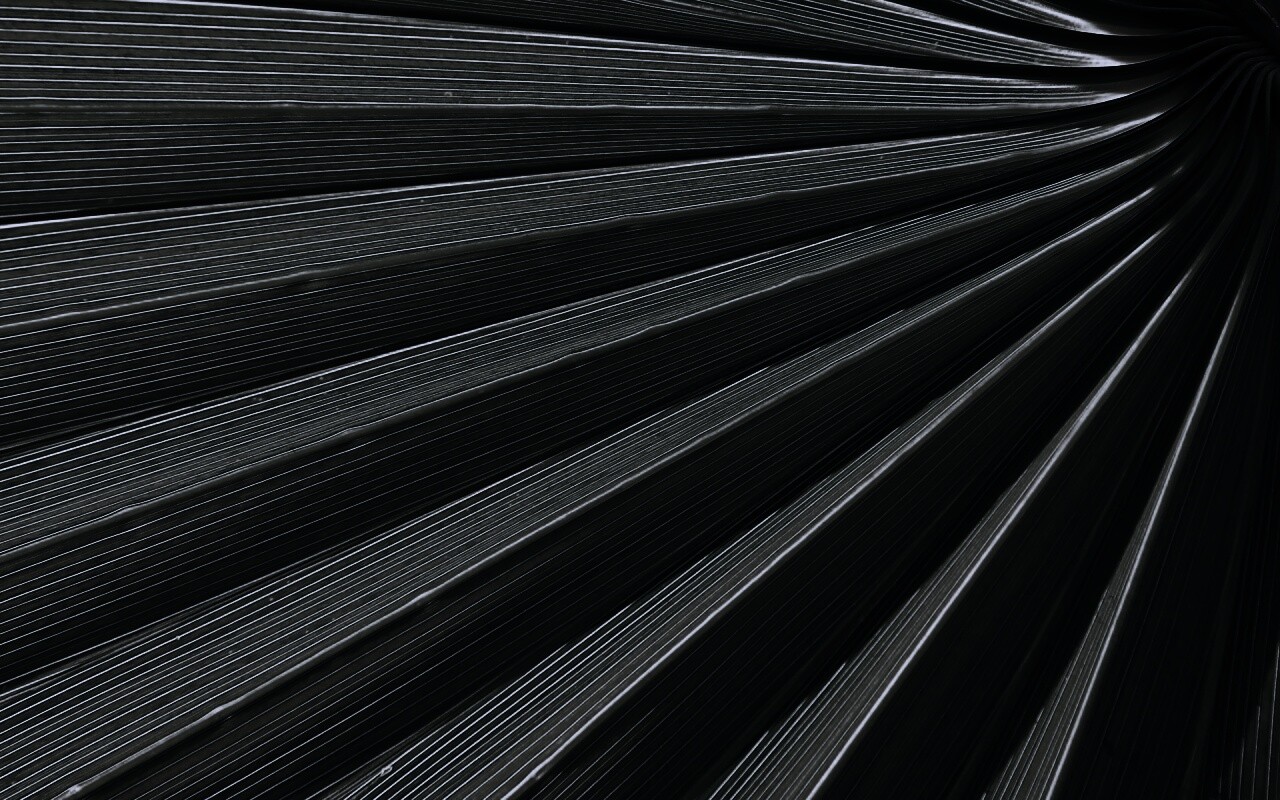 Зеленый пальмовый лист обои