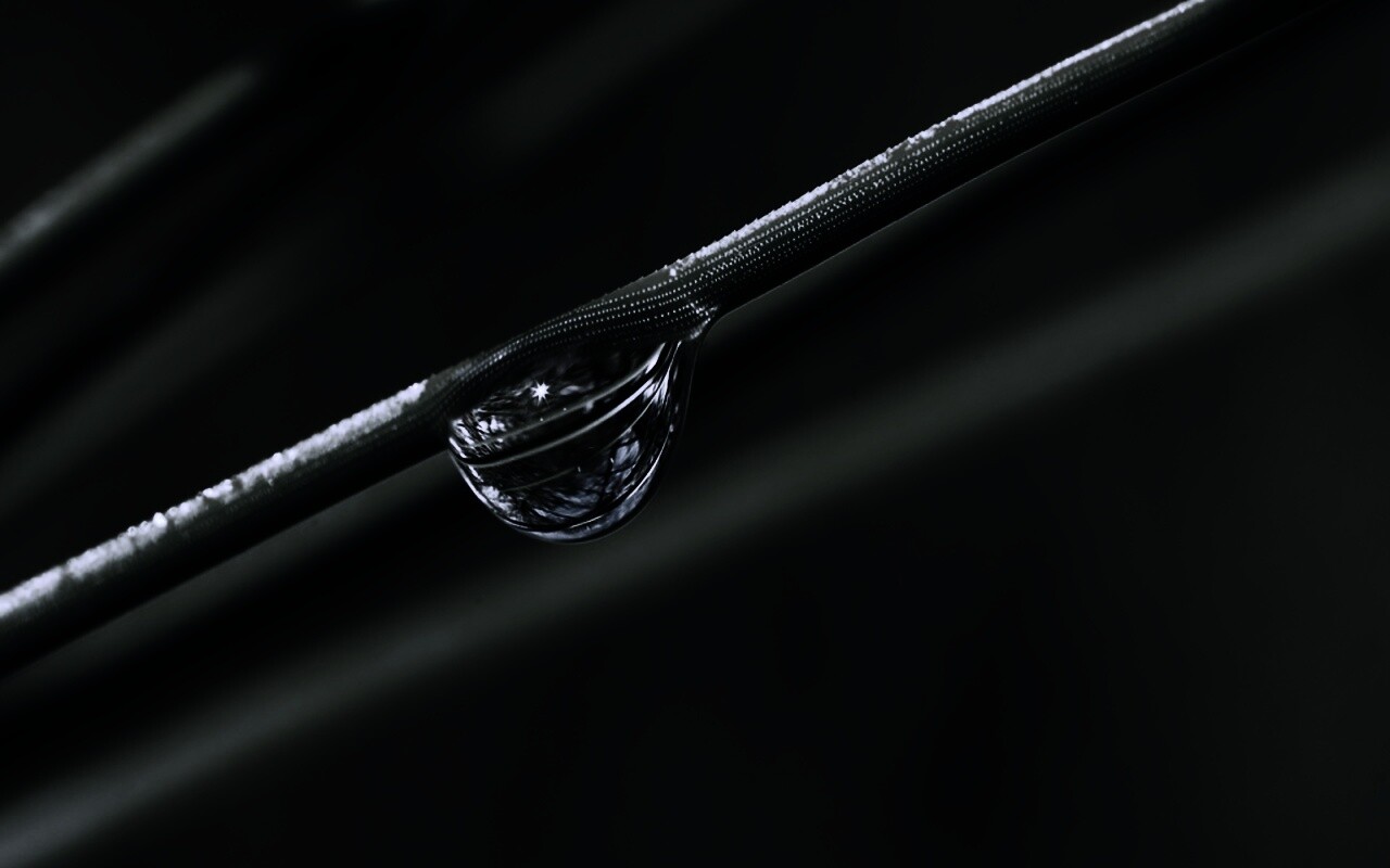 Капелька воды на стебле обои