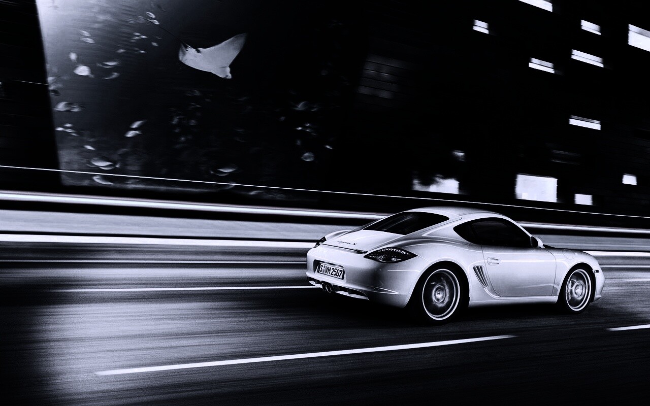 Porsche на трассе обои