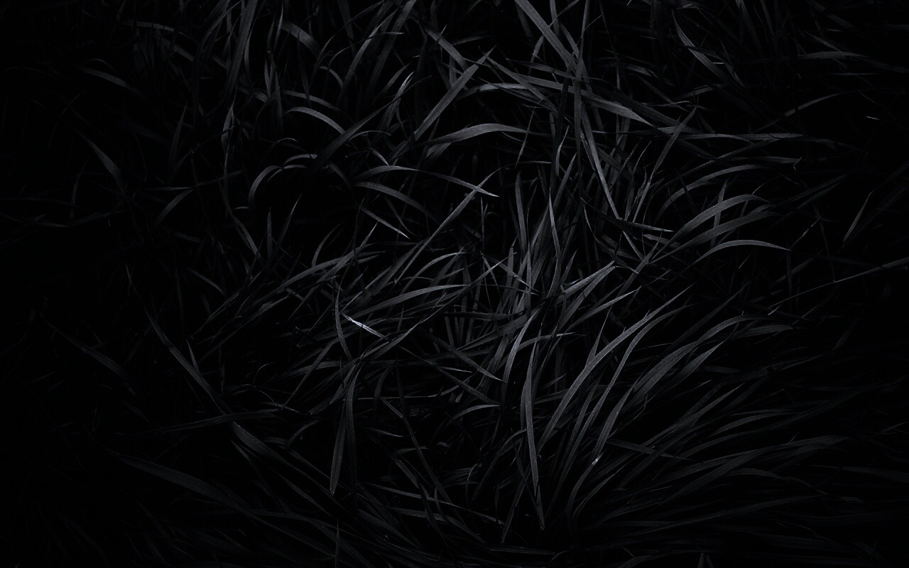 Блеклая трава обои